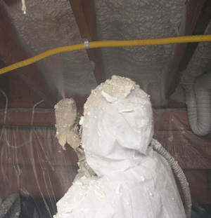 Stockton CA crawl space insulation